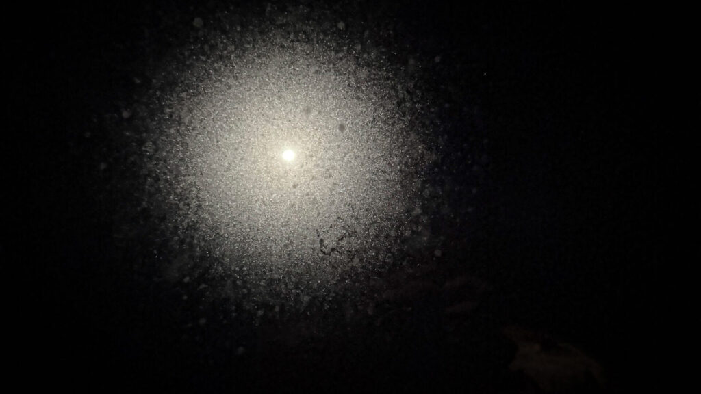 車中泊の夜、サンルーフ越しに見える月