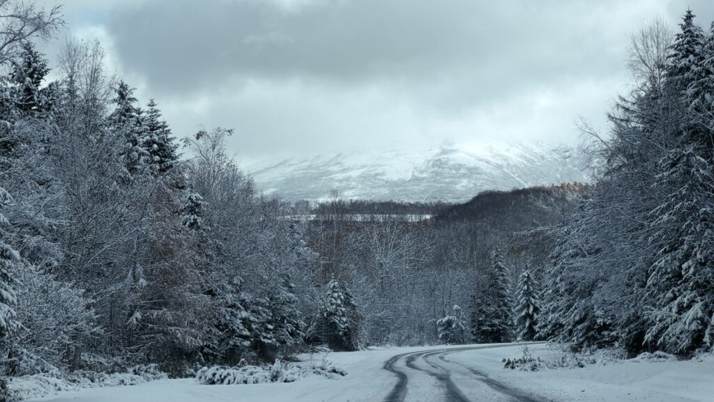 11月の美瑛の道路