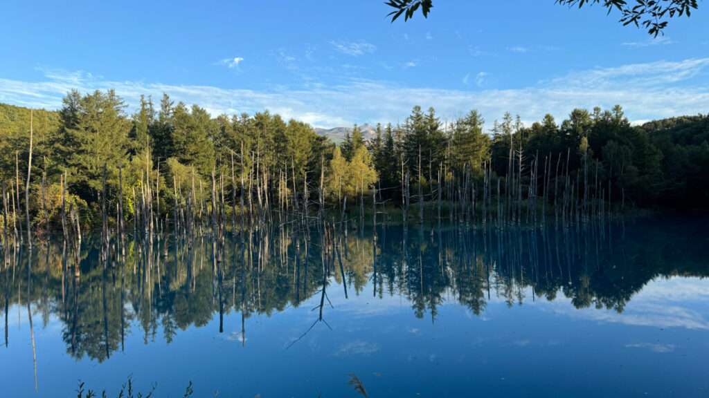 青い池（夕方）